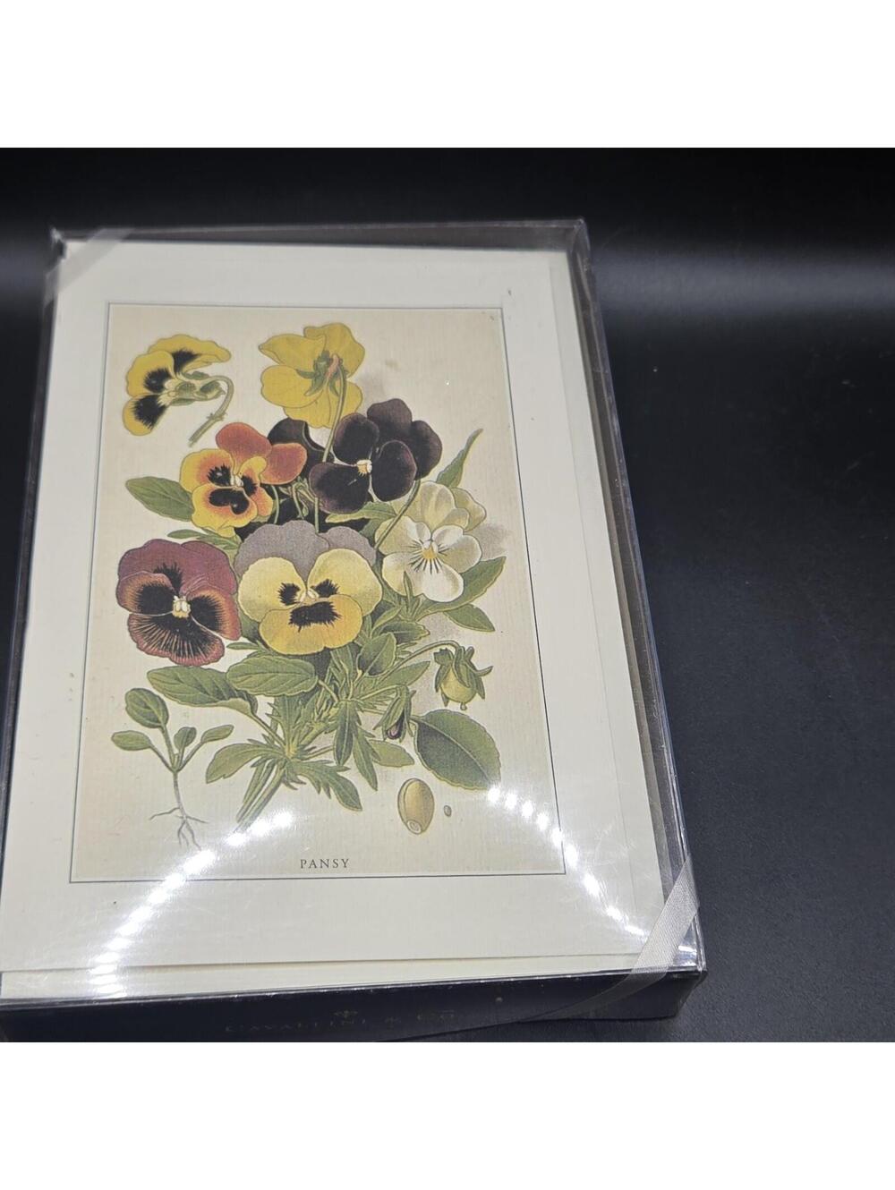 Vintage floral cards, Set of 10 Botanical illustrations, Flowers Pansy